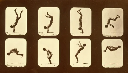 Athletes. Irregular from 